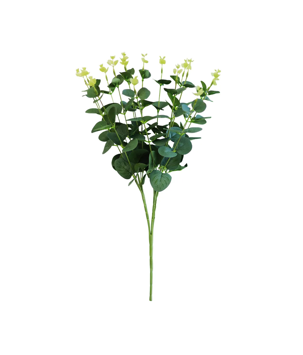 Money Leaf Stem 46cm