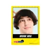 Monk Wig