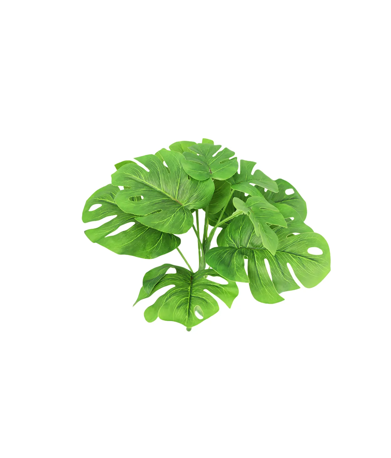 Monstera 9 Head 28cm