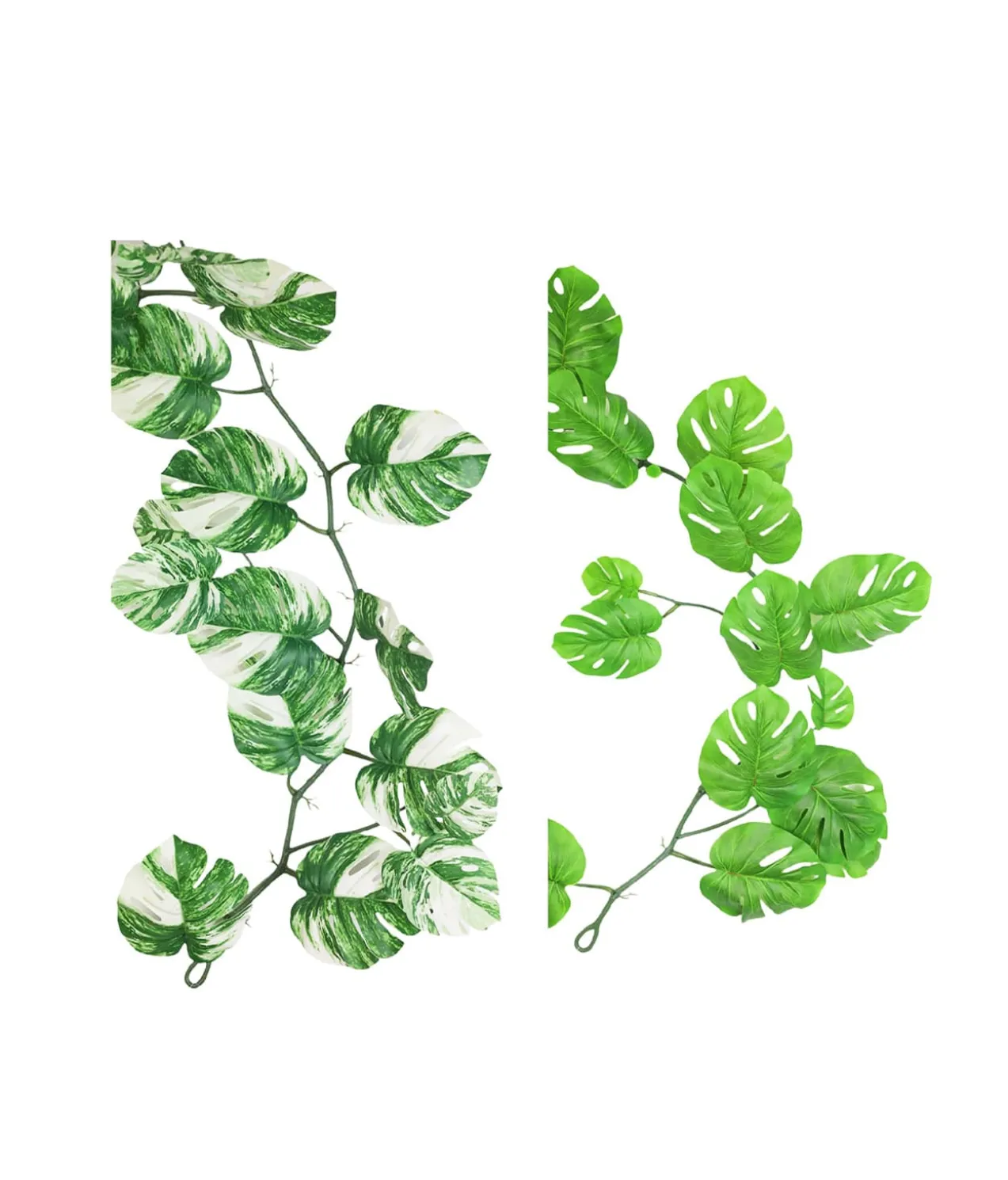 Monstera Vine 180cm Assorted