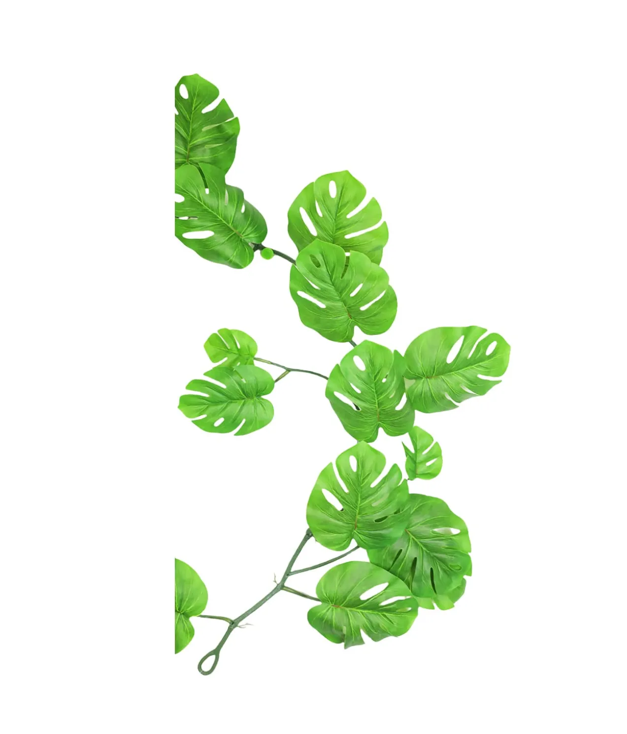 Monstera Vine 180cm Assorted