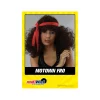 Motown Fro