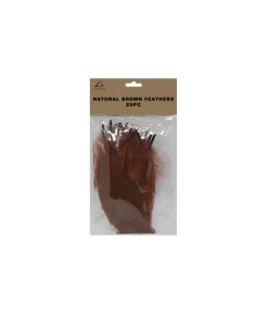 Natural Brown Feathers 20pc