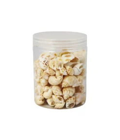 Natural Sea Shells 250g