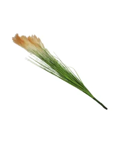 Natural Silk Reed 88cm