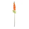 Orange Delphinium Flower Stem 105cm