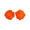 Orange Flower Bra
