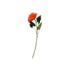 Orange Single Gerbera