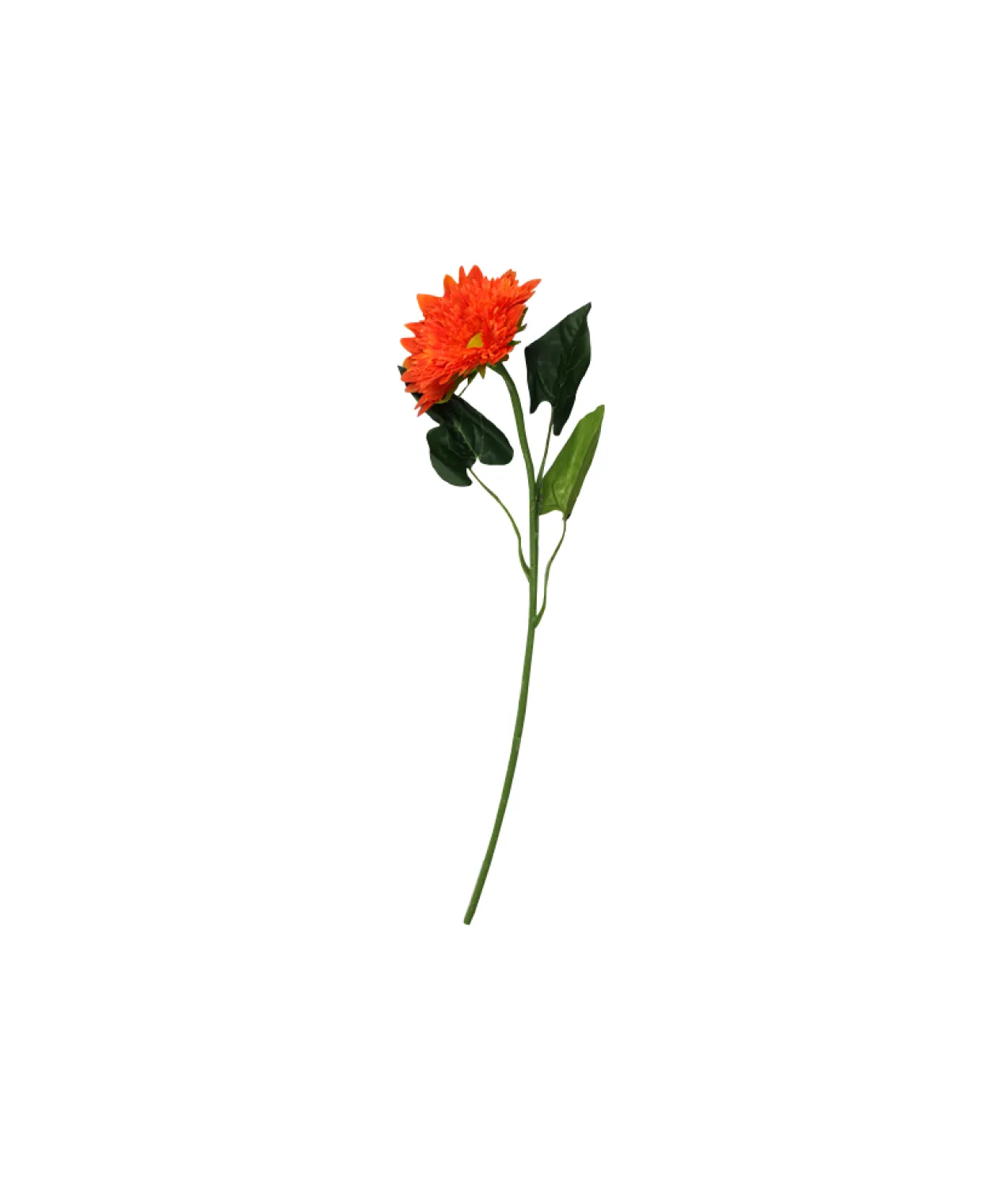 Orange Single Gerbera