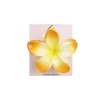 Orange & Yellow Frangipani Hair Claw Clip 1pc