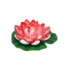 Pastel Red Floating Water Lily 18cm