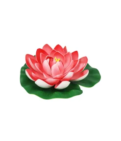 Pastel Red Floating Water Lily 18cm