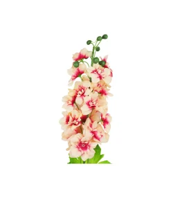 Peach Delphinium Flower Stem 80cm