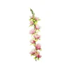 Peach Gladiolus Bush Flower Stem 77cm
