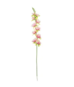 Peach Gladiolus Bush Flower Stem 77cm