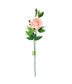 Peach Green Tea Peony Stem 74cm