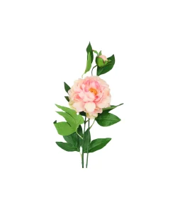 Peach Green Tea Peony Stem 74cm