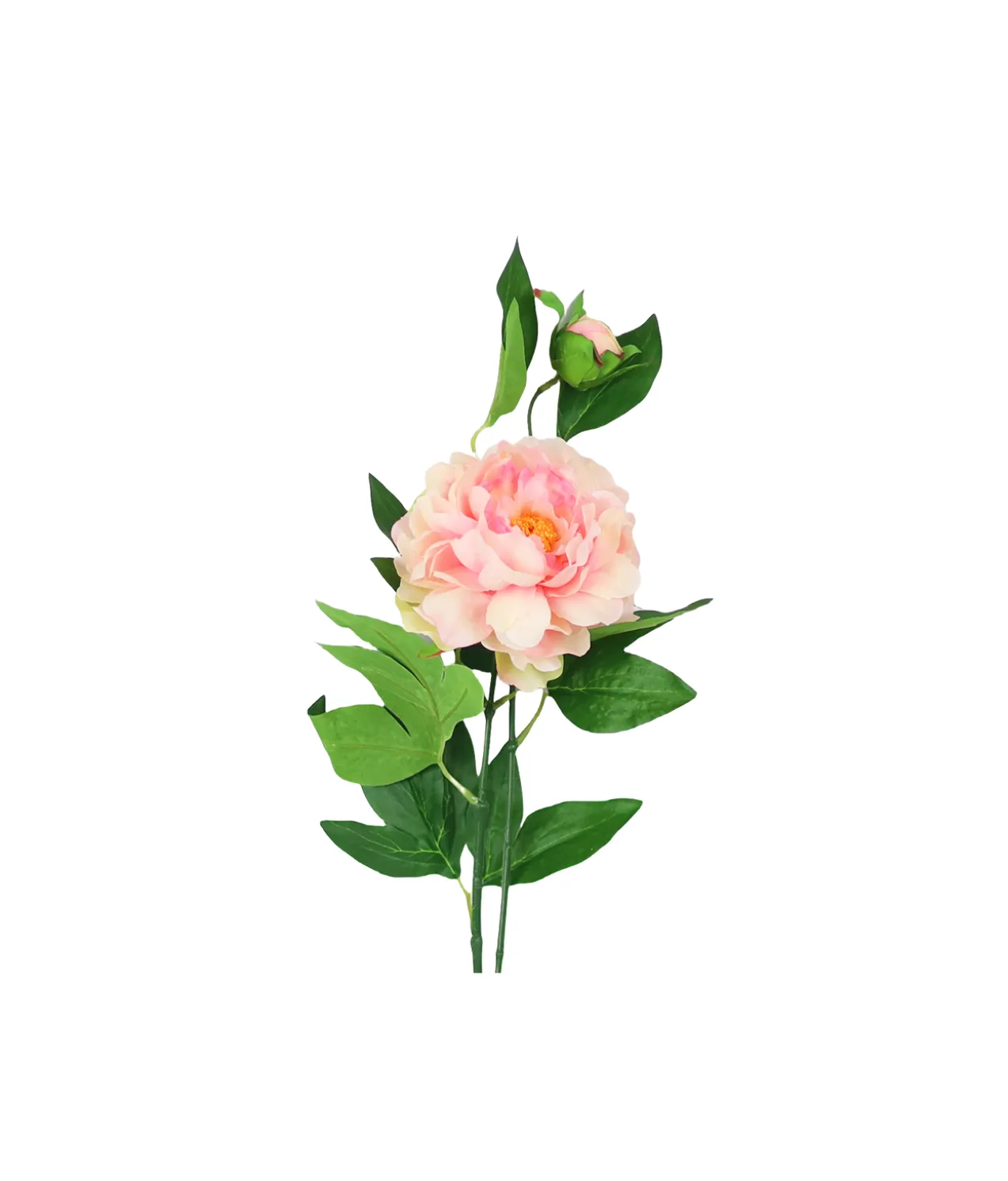 Peach Green Tea Peony Stem 74cm