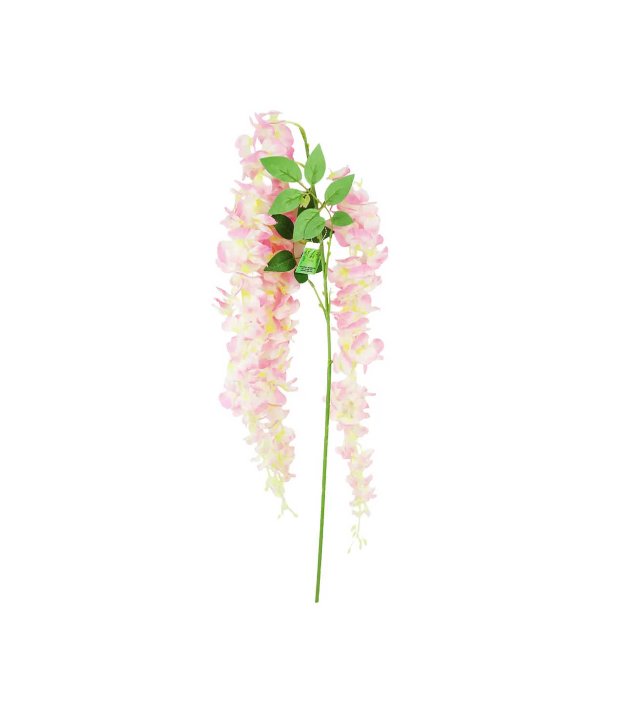 Pink Bean Flower Cane 129cm