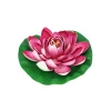Pink Floating Water Lily 18cm