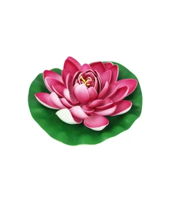 Pink Floating Water Lily 18cm