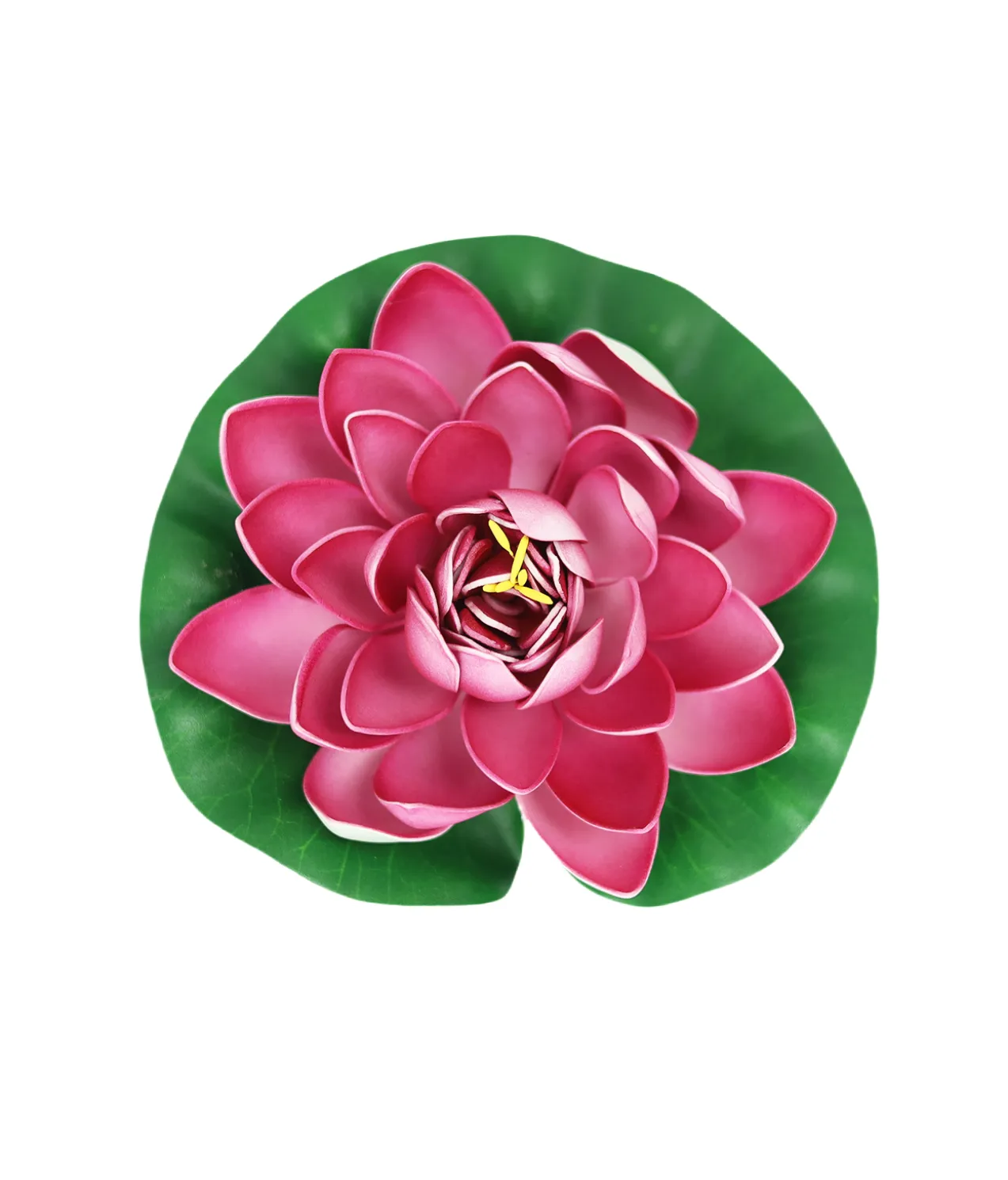 Pink Floating Water Lily 18cm
