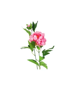 Pink Green Tea Peony 74cm