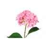 Pink Hydrangea Flower Stem 63cm