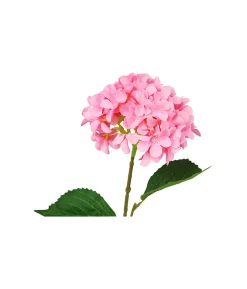 Pink Hydrangea Flower Stem 63cm
