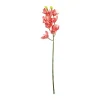 Pink Orchid With Pink Stamen 71cm