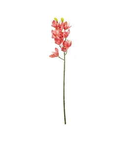 Pink Orchid With Pink Stamen 71cm