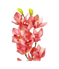 Pink Orchid With Pink Stamen 71cm