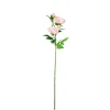 Pink Peony Bush Stem 82cm