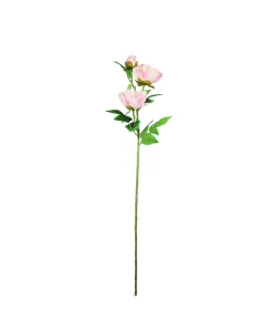 Pink Peony Bush Stem 82cm