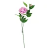 Purple Green Tea Peony 74cm