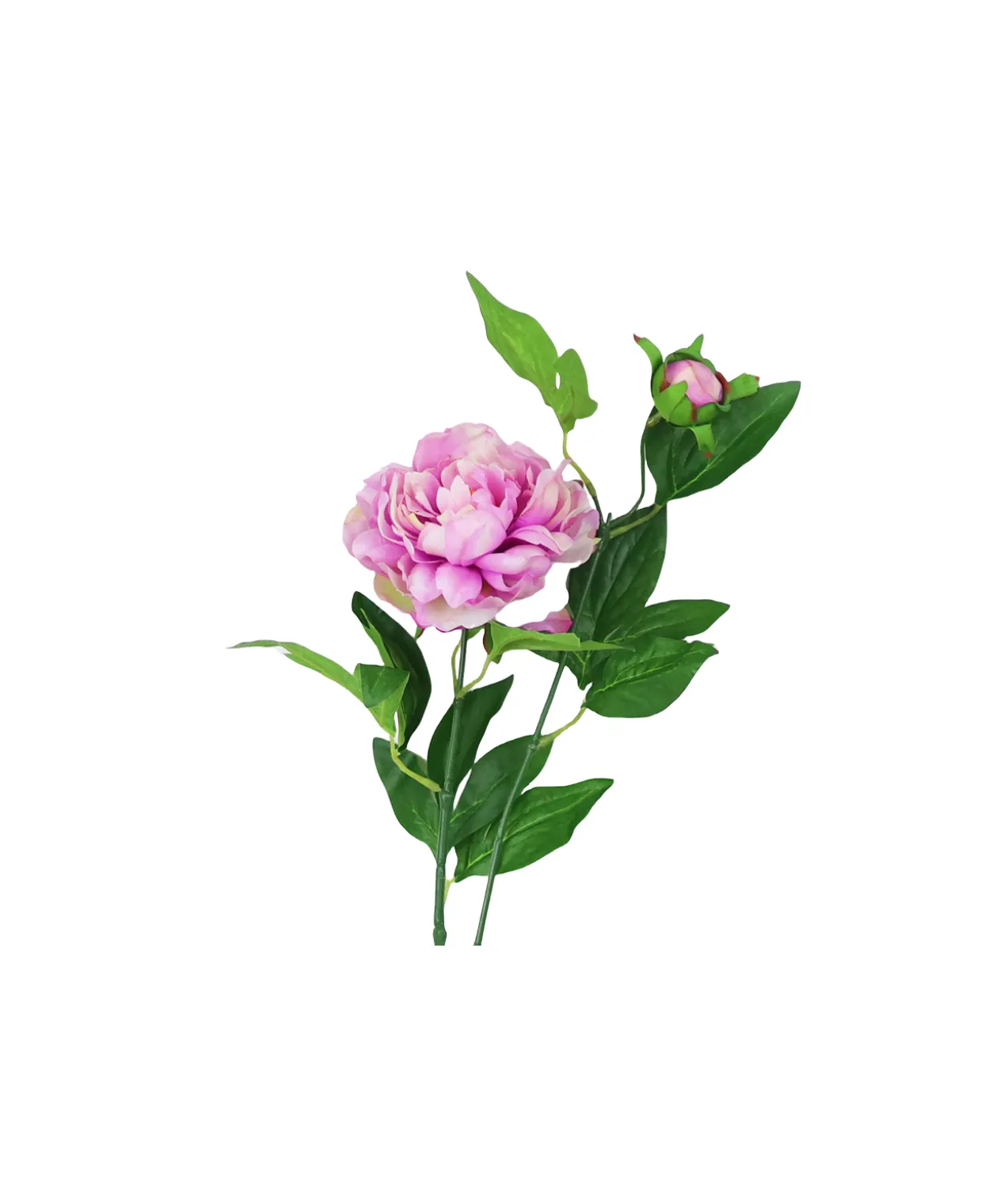 Purple Green Tea Peony 74cm
