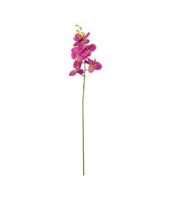 Purple Orchid With Purple Stamen 88cm