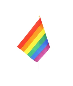 Rainbow Flag On Stick