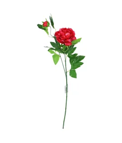 Red Green Tea Peony 74cm