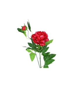 Red Green Tea Peony 74cm
