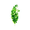 Scindapsus Aureus Rattan Branch 116cm