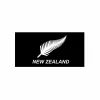 Silver Fern Flag 90x150cm