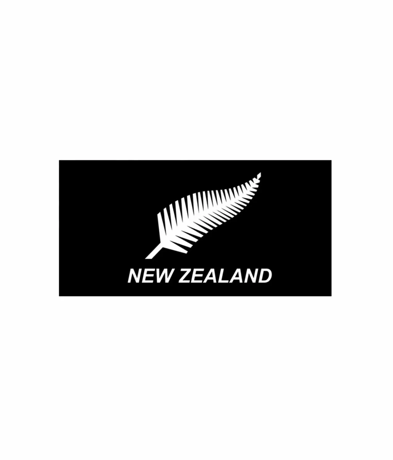 Silver Fern Flag 90x150cm