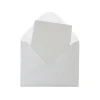 Silver Small Pearlised Cards & Envelopes Set 12pc