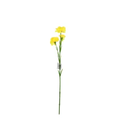 Single Carnation 3 bunch 64cm