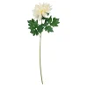 Single Dahlia Assorted 65cm