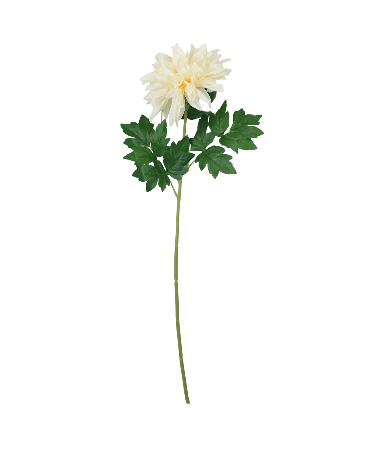 Single Dahlia Assorted 65cm