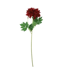 Single Dahlia Assorted 65cm