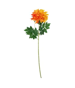 Single Dahlia Assorted 65cm