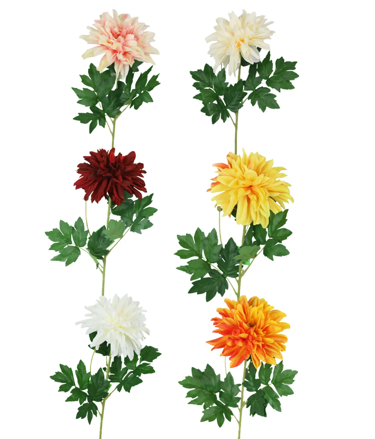Single Dahlia Assorted 65cm